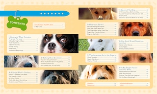 Table des matières_Canine Connection