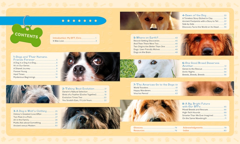 Table des matières_Canine Connection