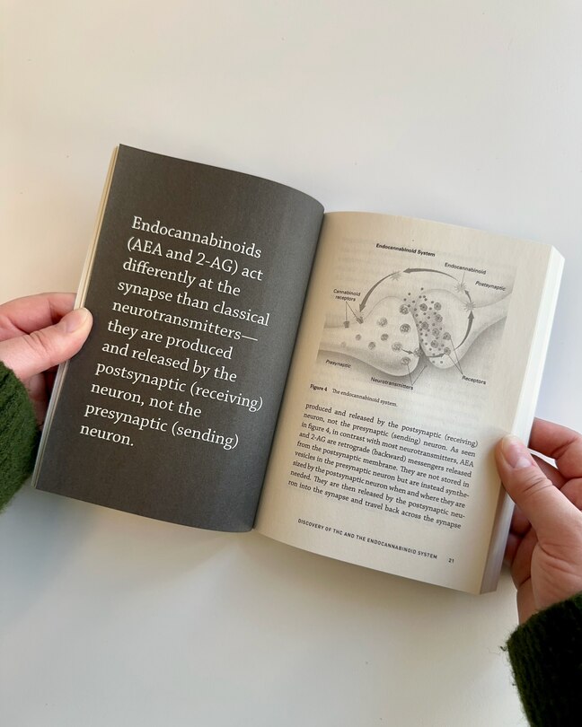 Aper&ccedil;u du contenu_Cannabinoids