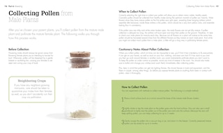 Sample content_Cannabis