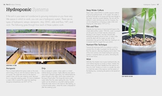 Sample content 4_Cannabis