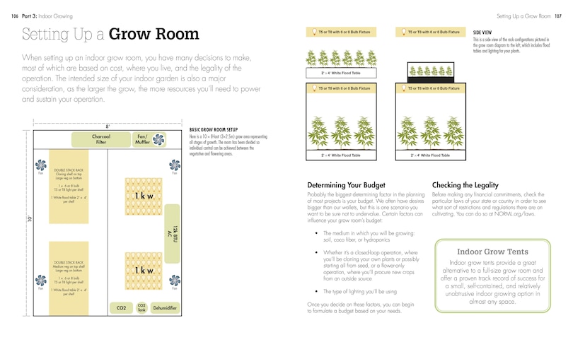 Sample content 5_Cannabis