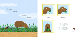 Aper&ccedil;u du contenu 2_Capy Capy Capybara