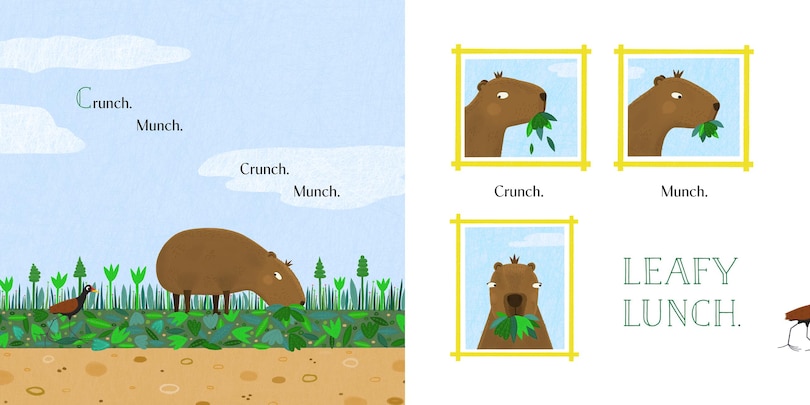 Aper&ccedil;u du contenu 2_Capy Capy Capybara