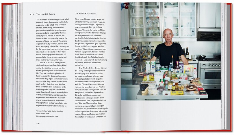 Sample content 5_Carsten H&ouml;ller. Book of Games