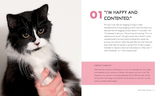 Sample content 2_Cat Body Language