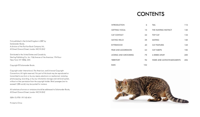 Sample content 4_Cat Body Language