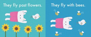 Sample content 2_Cat Can Fly