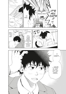 Sample content 2_Cat + Crazy Volume 1