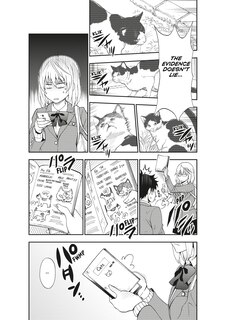 Sample content 3_Cat + Crazy Volume 1