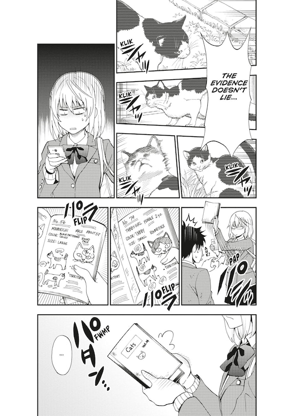 Sample content 3_Cat + Crazy Volume 1