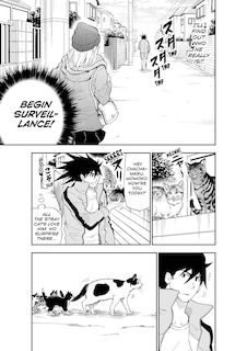 Sample content_Cat + Crazy Volume 2