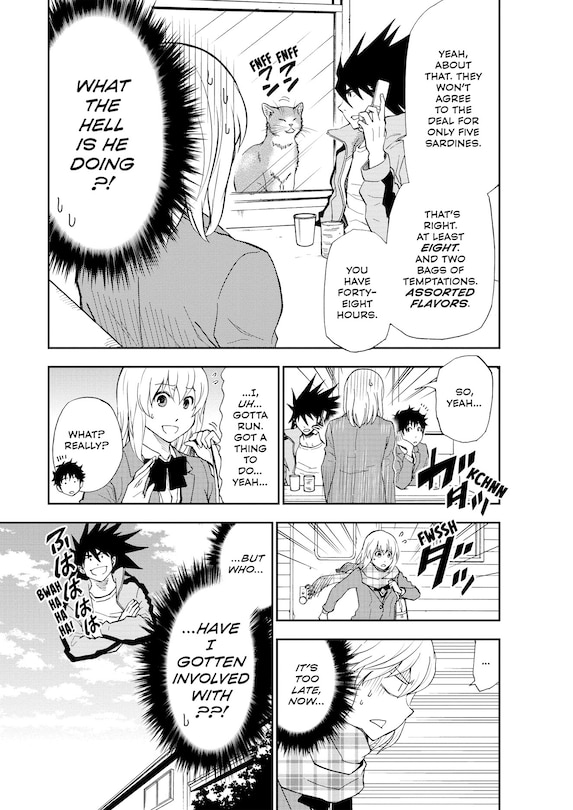 Sample content 5_Cat + Crazy Volume 2