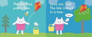 Sample content 2_Cat Flies A Kite