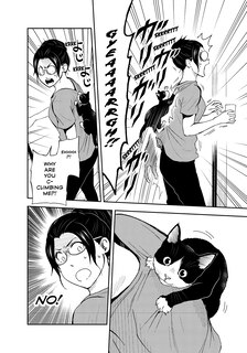 Sample content_Cat + Gamer Volume 3