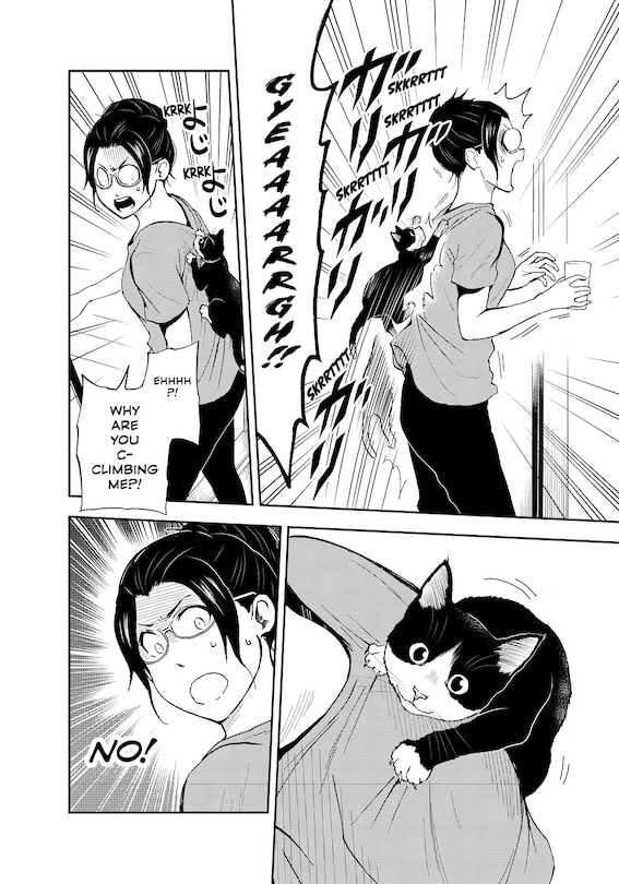 Sample content_Cat + Gamer Volume 3