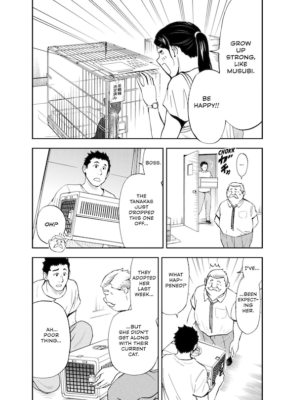 Sample content_Cat + Gamer Volume 4