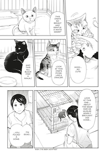 Sample content 2_Cat + Gamer Volume 4