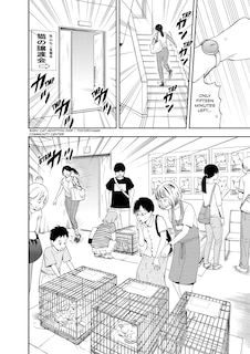 Sample content 5_Cat + Gamer Volume 4
