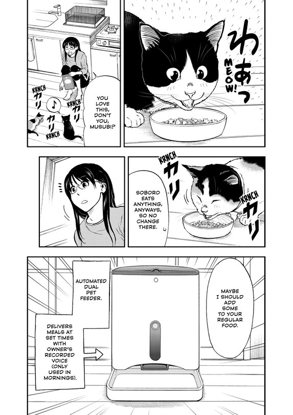 Sample content 3_Cat + Gamer Volume 5