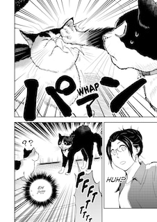 Sample content 5_Cat + Gamer Volume 6