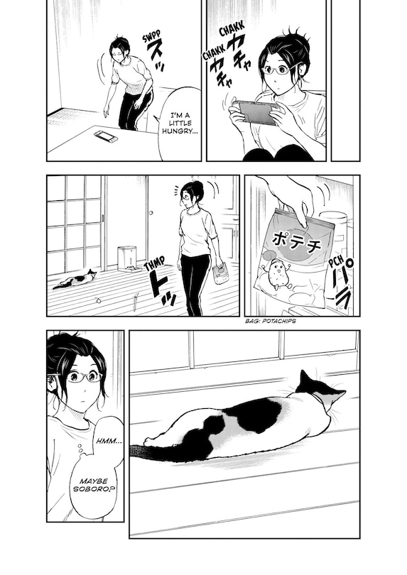 Sample content 5_Cat + Gamer Volume 8