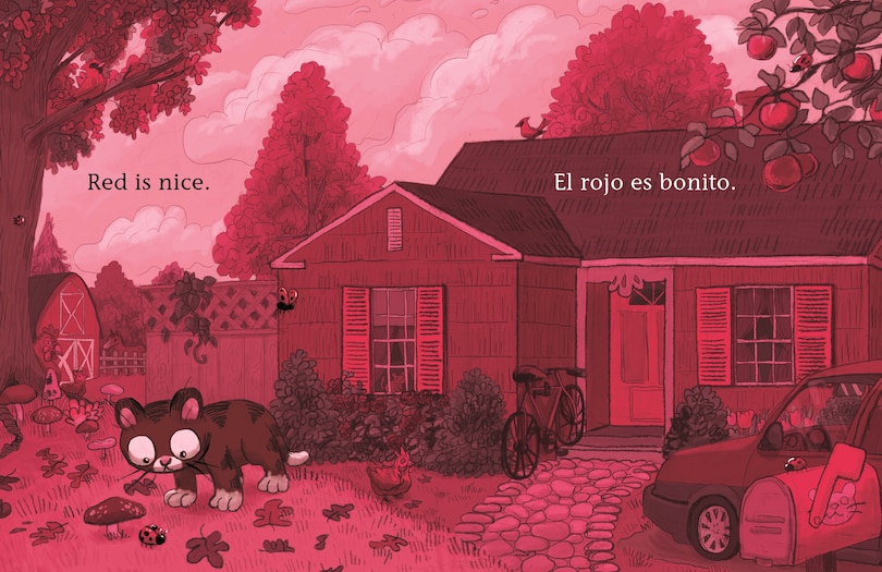 Sample content 3_Cat Likes Red / A Gato le gusta el rojo