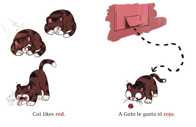 Sample content 4_Cat Likes Red / A Gato le gusta el rojo