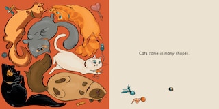 Aperçu du contenu_Cat Shapes