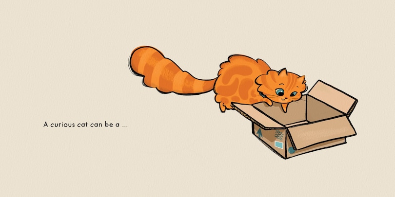 Aperçu du contenu 2_Cat Shapes