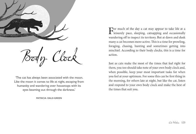 Sample content_Cat Wisdom