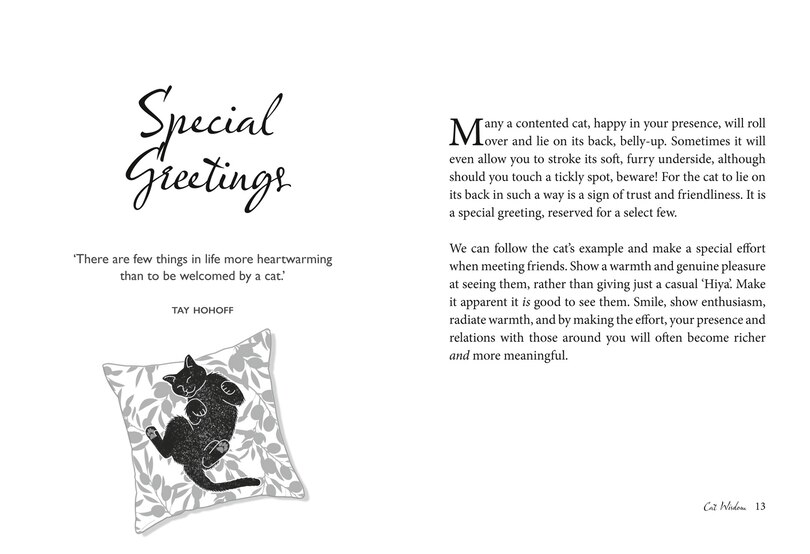 Sample content 2_Cat Wisdom