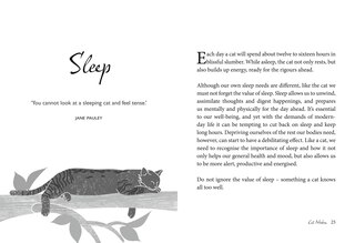 Sample content 3_Cat Wisdom