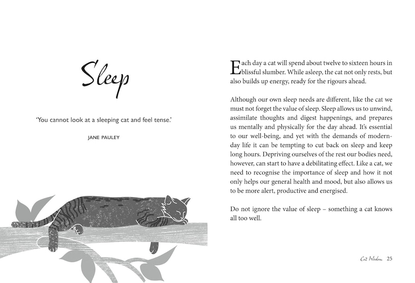 Sample content 3_Cat Wisdom