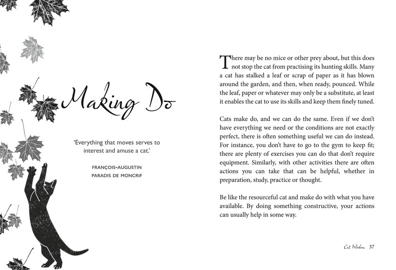 Sample content 4_Cat Wisdom