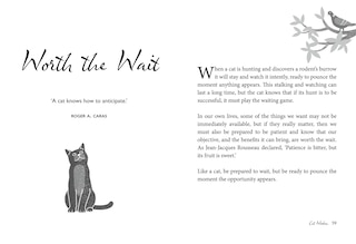 Sample content 5_Cat Wisdom