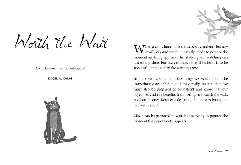 Sample content 5_Cat Wisdom