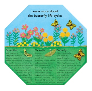 Sample content 2_Caterpillar To Butterfly: Fold Out And Find Out