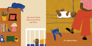 Sample content_Cat's First Baby