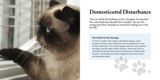 Sample content_CATS GONE BAD