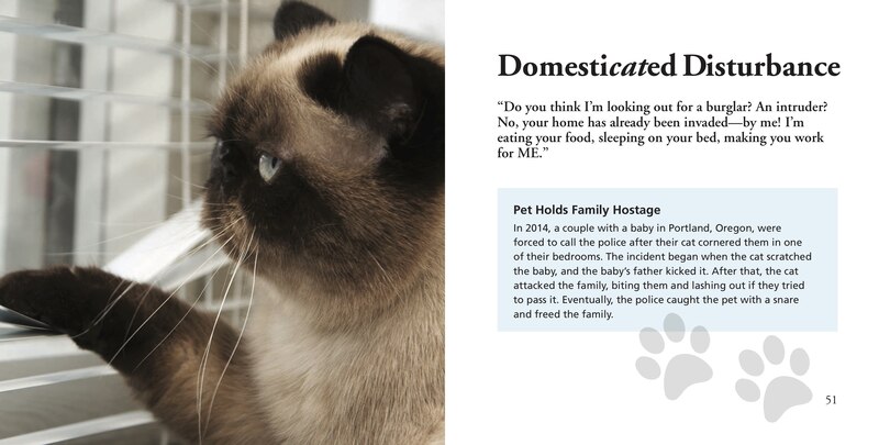 Sample content_CATS GONE BAD