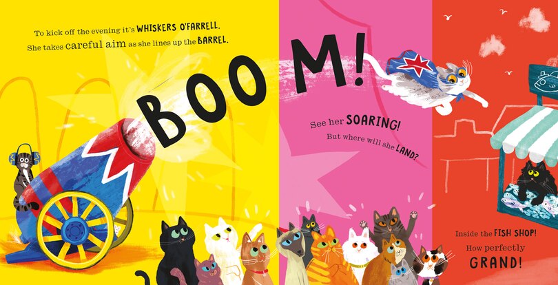 Aper&ccedil;u du contenu 2_Cats In Chaos