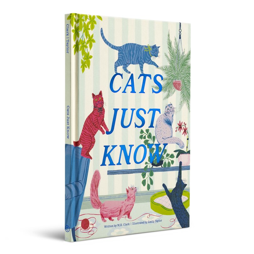Sample content 4_Cats Just Know