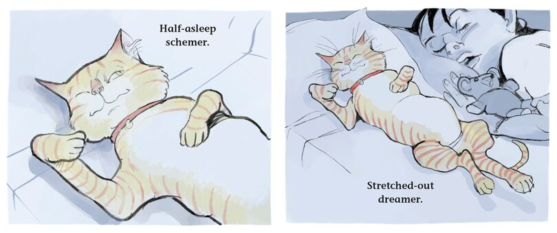 Sample content_Cat's Very Good Day