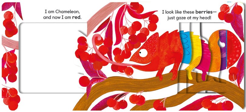 Sample content 2_Chameleon's Colors