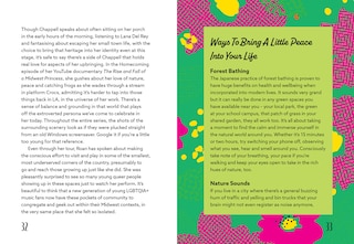 Sample content 2_Chappell Roan: The Ultimate Unofficial Midwest Princess Fan Book