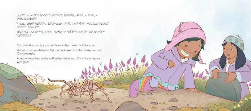 Aper&ccedil;u du contenu_Chasing Bugs and Catching Minnows