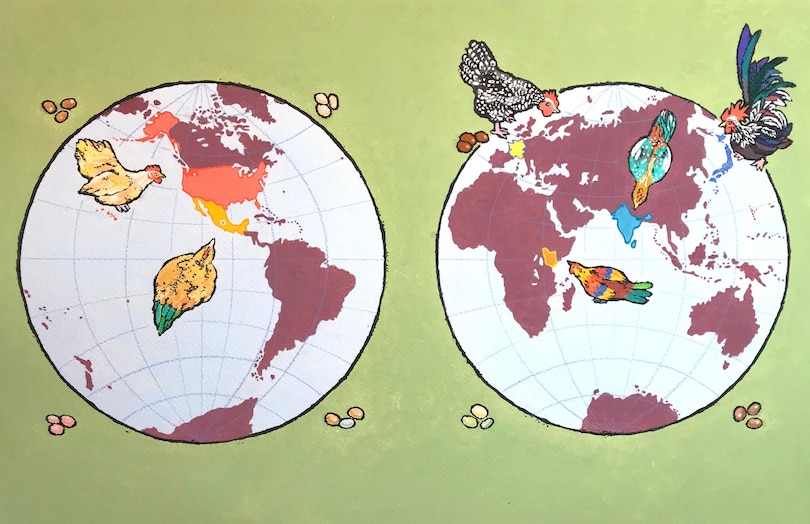 Aper&ccedil;u du contenu 5_Chicken Talk Around The World