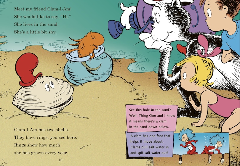 Sample content_Clam-I-Am! All About the Beach
