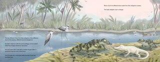 Sample content 2_Claude